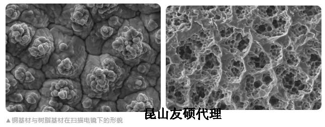 营口蔡司营口扫描电镜