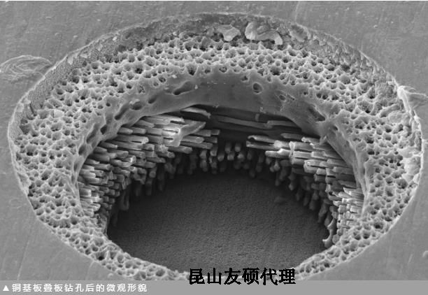 营口蔡司营口扫描电镜